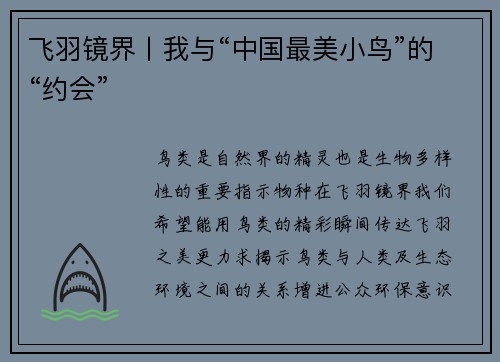 飞羽镜界丨我与“中国最美小鸟”的“约会”